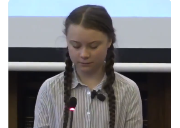 Greta Thunberg senato italiano
