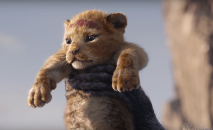 il re leone film 2019