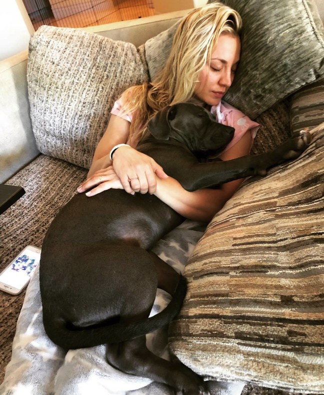 kaley cuoco col cane