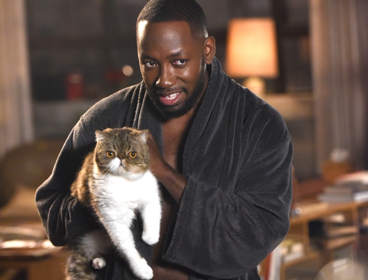 Winston tiene il suo gatto nel loft in New Girl