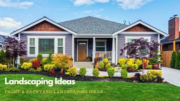 Best Landscaping Ideas