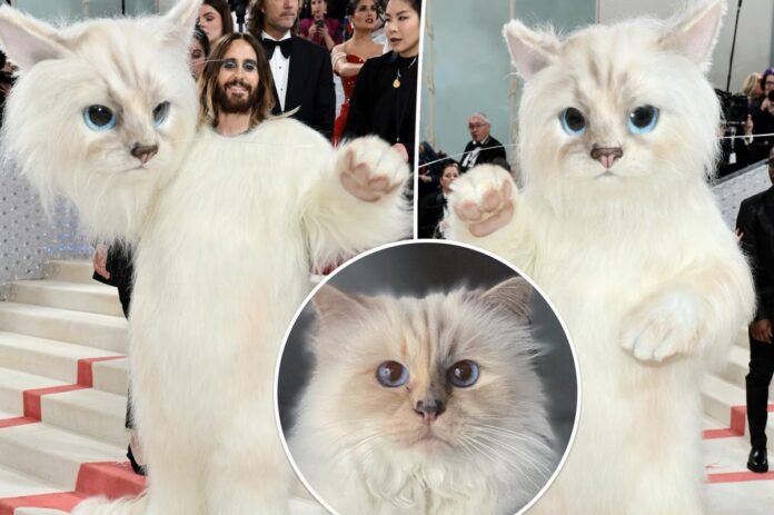 Jared Leto si veste da gatto Choupette di Karl Lagerfeld al Met Gala 2023
