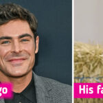 L'apparizione di Zac Efron qualche giorno fa lascia i fan scioccati e preoccupati / Lato positivo