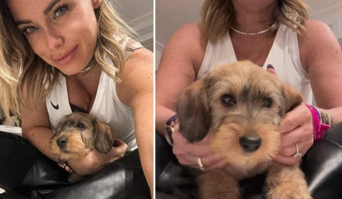 Sonia Bruganelli dopo la separazione da Bonolis ha un ''fidanzato'' a quattro zampe: la tenera foto del nuovo arrivo in famiglia