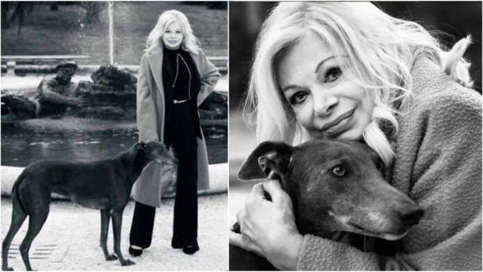 Sandra Milo lascia i suoi levrieri Jim e Lady: l’attrice salvò entrambi i cani dallo sfruttamento