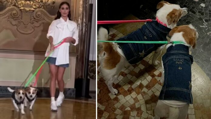 Cecilia Rodriguez sfila alla Milano Fashion Week con i suoi cani per il brand di accessori per animali domestici: guarda