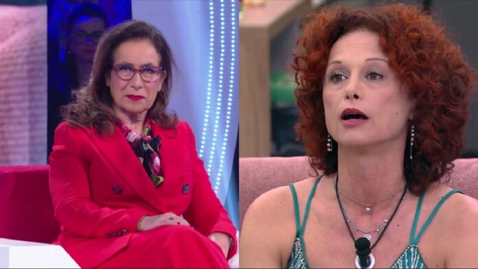 Grande Fratello, Cesara Buonamici difende Marco Maddaloni, Beatrice Luzzi tuona: 