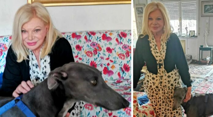 ''Uno accostava il muso alla bara, l’altra tremava come una foglia'': i cani di Sandra Milo hanno guaito disperati dopo la morte dell’attrice, il racconto della figlia
