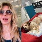 Alba Parietti vittima di un incidente con il suo cane: “Ora deve operarsi, sono tremendamente triste”
