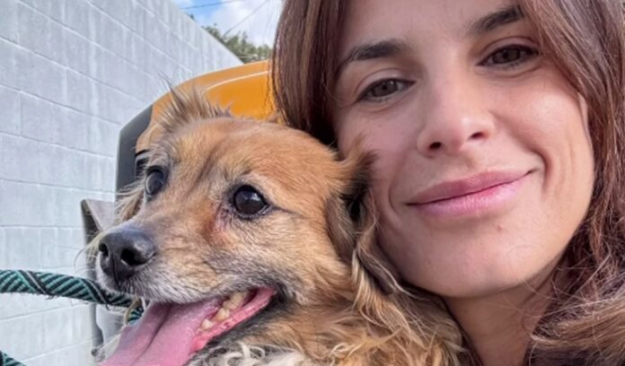 Elisabetta Canalis ha adottato un cane anziano dal canile di Los Angeles