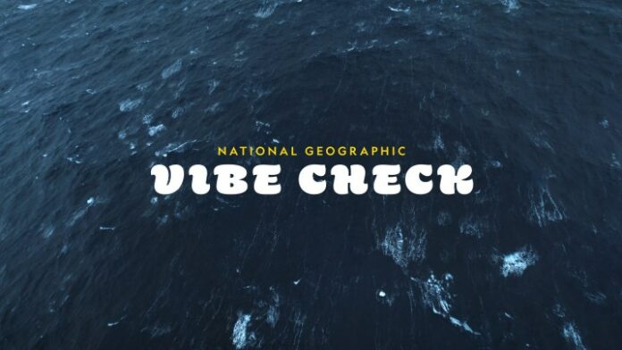 Logo per il logo National Geographic x Vibe Check.