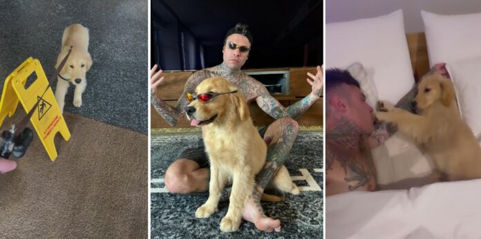 Fedez rivela il particolare nome che ha dato al suo nuovo cucciolo di Golden Retriever: ecco come si chiama il cane