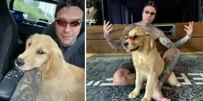 Fedez riappare sul social dopo giorni e presenta il suo nuovo cane! Poi fa capire di aver avuto problemi di salute: le foto