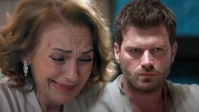 The Family 2, replica puntata in streaming del 27 settembre 2024 - Video Mediaset